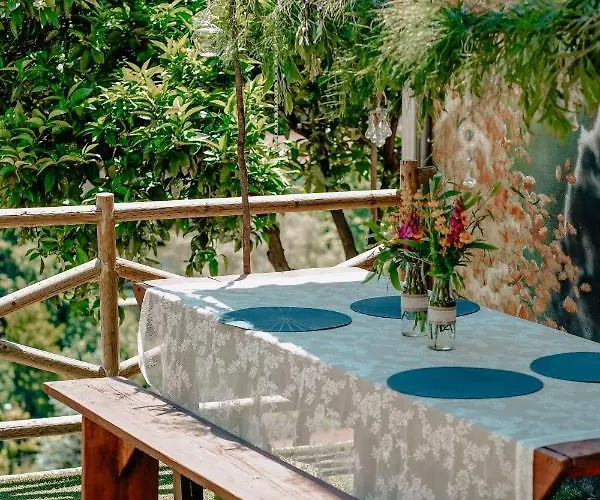 Tea House Gerês
