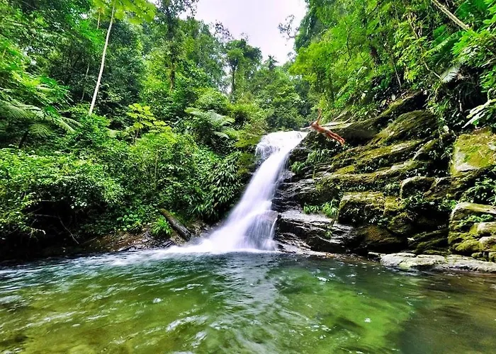 Casa Contato Com A Natureza E Praias