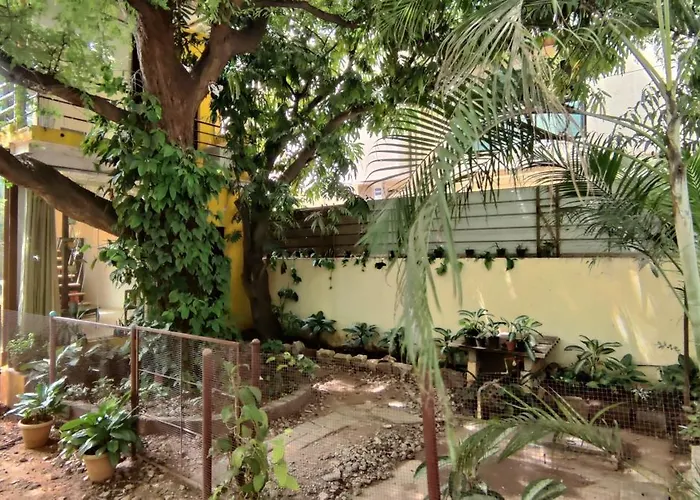 The Sunshine Bungalow
