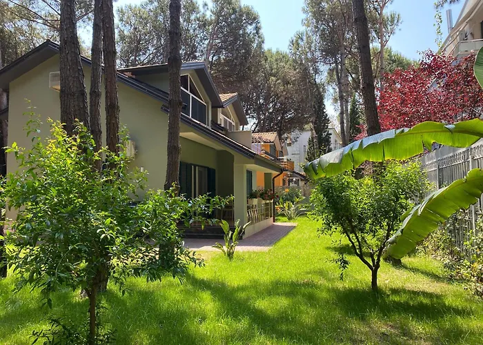 Forest Cottage - Middle Of Forest & Near The Beach