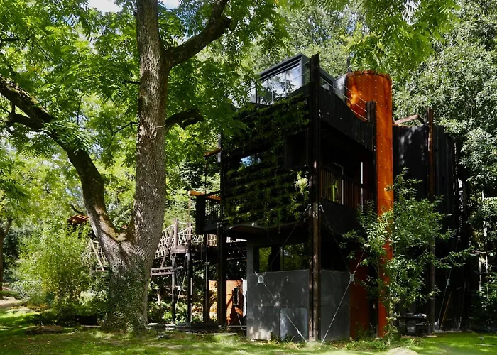 Zero Zero Treehouse