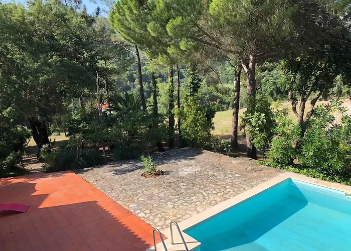 Quinta Dos Medronheiros